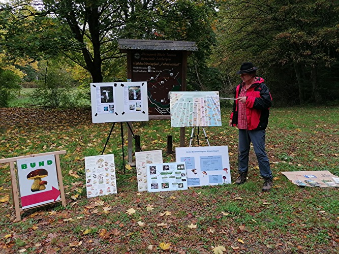 Pilze, Pilzwanderung Hühnerberg (Hünstetten)