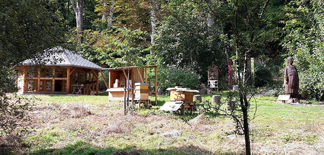 Bienen - Mehr als Honig