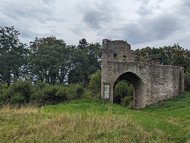Rund um die Hallgartener Zange