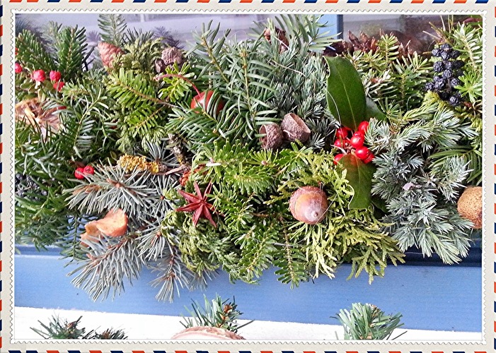 "Oh Tannenbaum, Oh Tannenbaum, wie grün sind deine Blätter?"