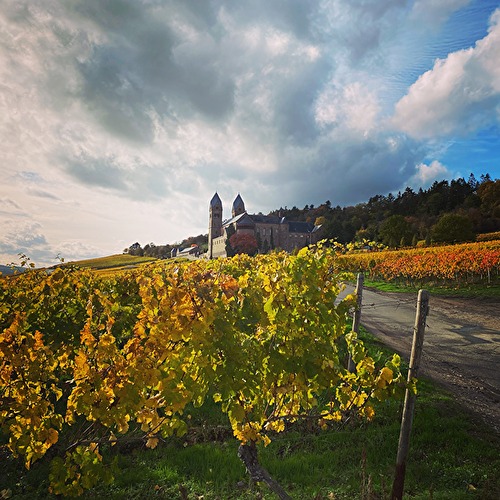 Rheinblicke, Heilige und Weinberge