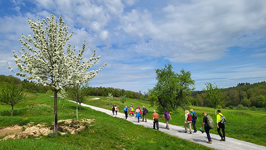 Wanderung auf der Taunussteiner Runde