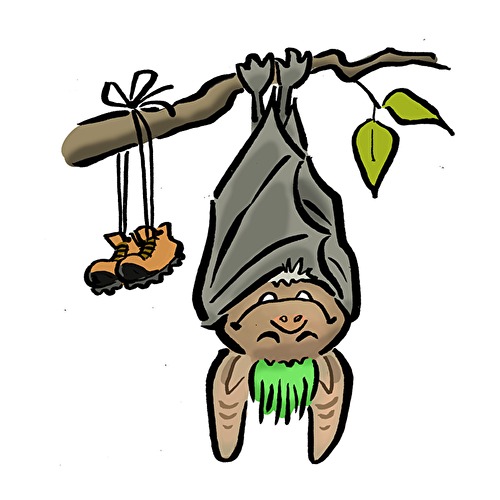 Welche Tiere leben im Naturpark RheinTaunus?