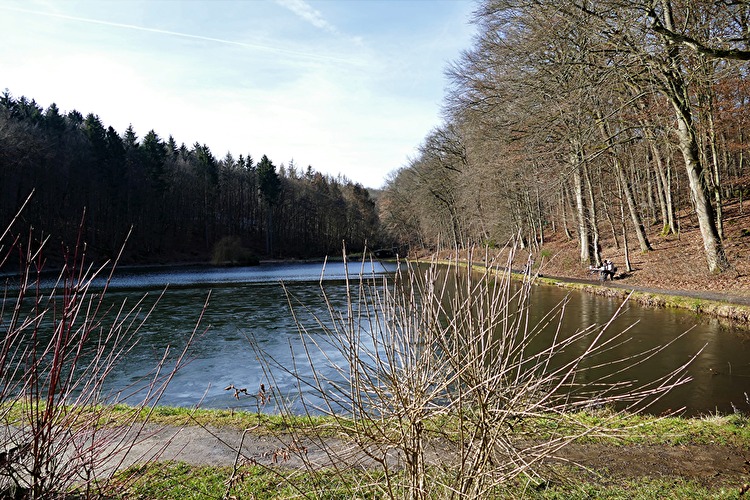 Herbstzauber im Theißtal