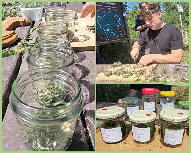 Frühlingswanderung mit Kräutersammeln und Erstellen einer Tinktur