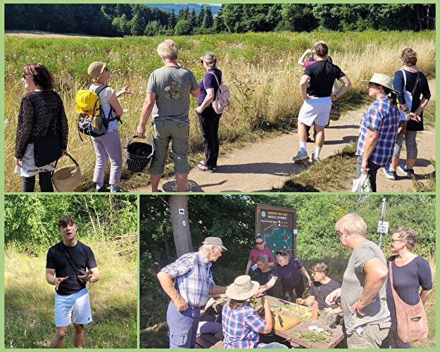 Sommer-Kräuterwanderung und Erstellen einer Tinktur