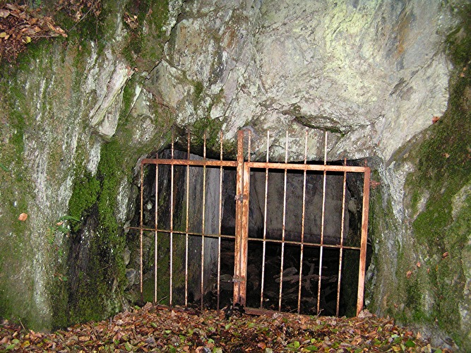 Fledermäuse - Geheimnisvolle Wesen