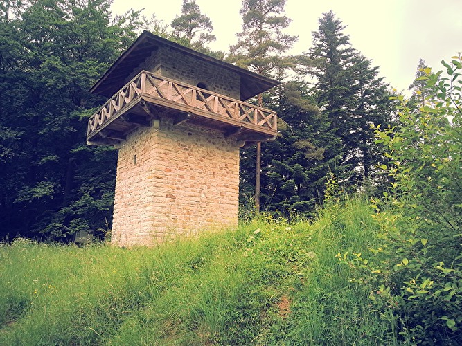 LIMES-Insider Tour: "Mampf & Marsch - Essen am Limes"