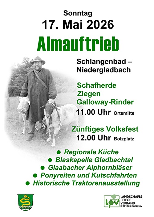 Almauftrieb in Niedergladbach