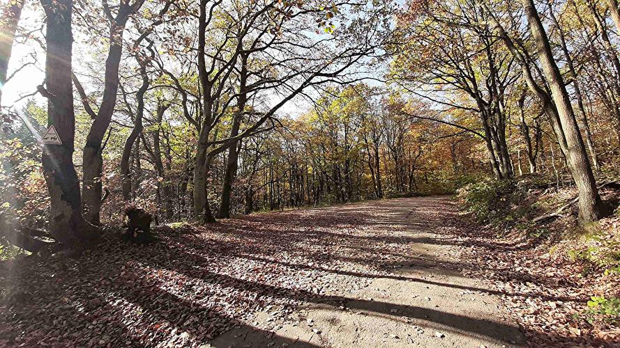 Parkplatz Phillippsburg