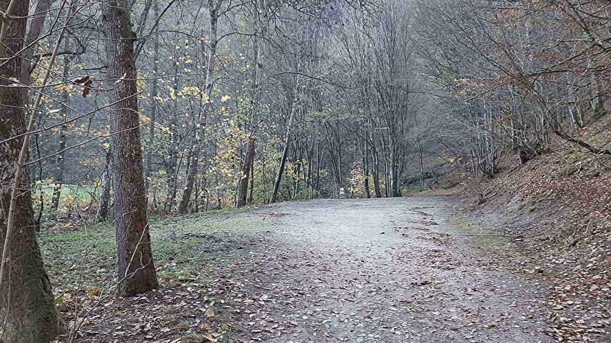 Parkplatz Neumühle-Herzbach