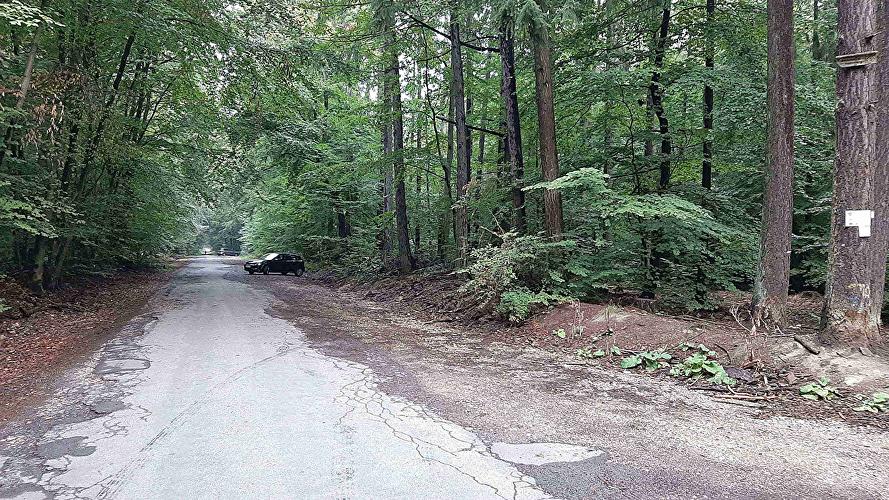 Wanderparkplatz Idsteiner-Weg-Eiche