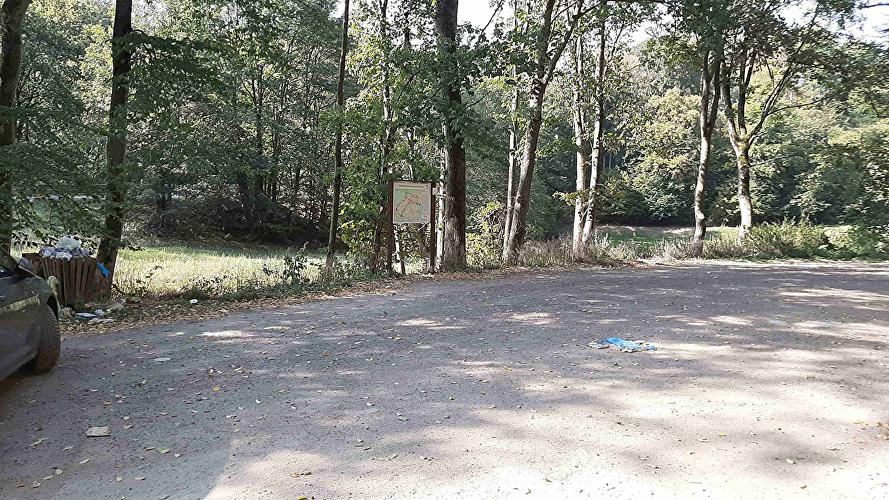 Wanderparkplatz Dellenbach