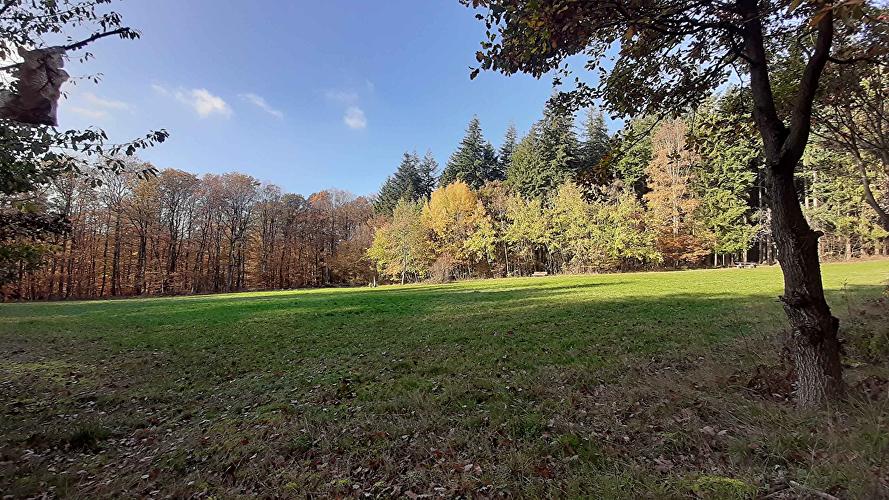 Picknickwiese Sangweg