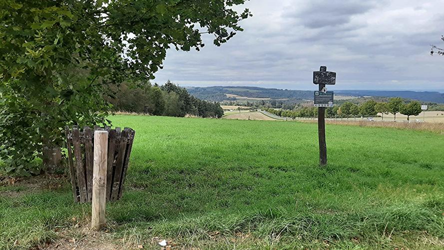 Picknickwiese Roter Stein