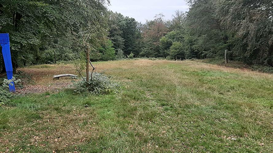 Picknickwiese Kellerskopf