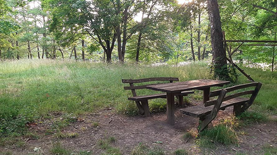 Picknickwiese Palmbachtal