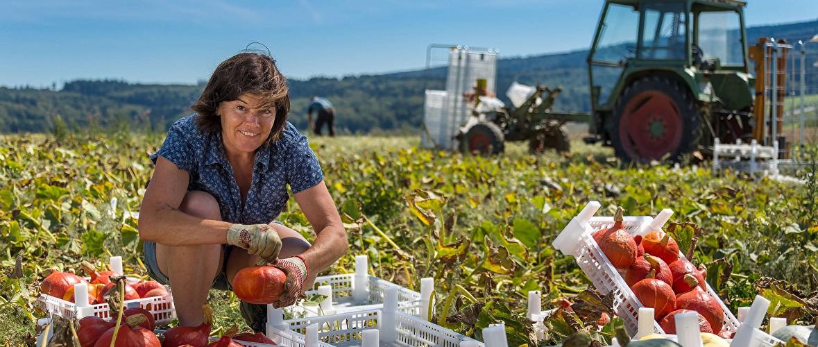 Hof Ardema Gesund & Munter