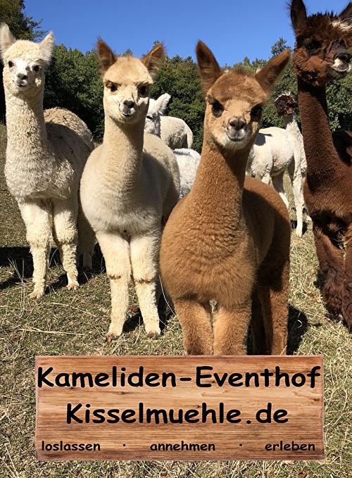 Eventhof Kisselmühle