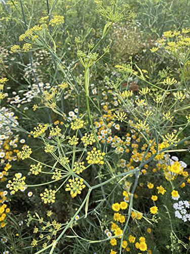 Imkerei Harry Holzhäuser