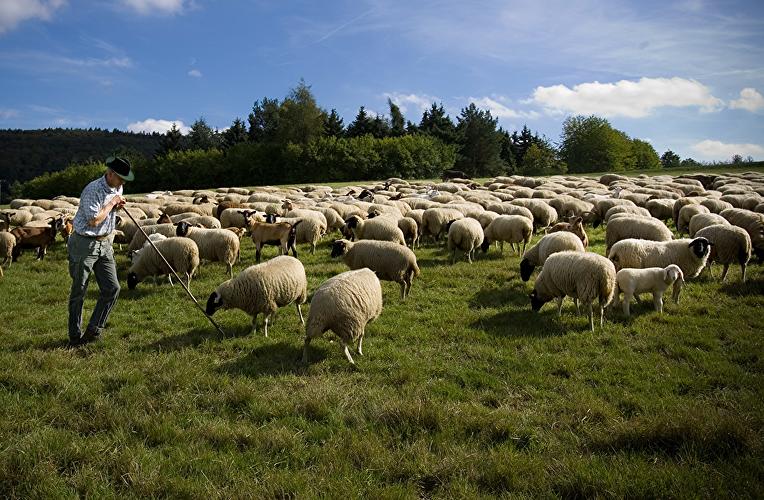 Lammspezialitäten vom Taunus