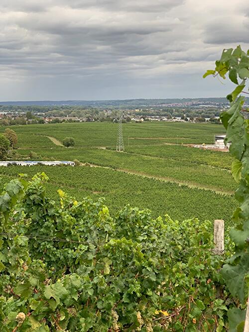 Johannisberg Weinprobierstand