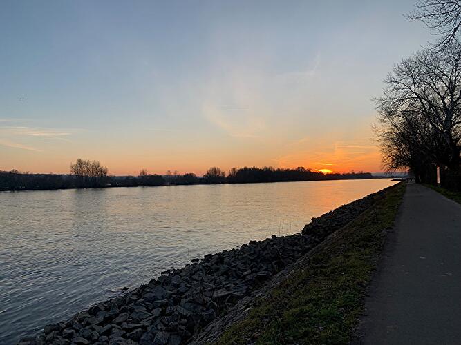 Eltviller Weinprobierstand