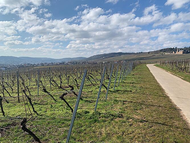 Kloster Eibingen,  Abtei St. Hildegard