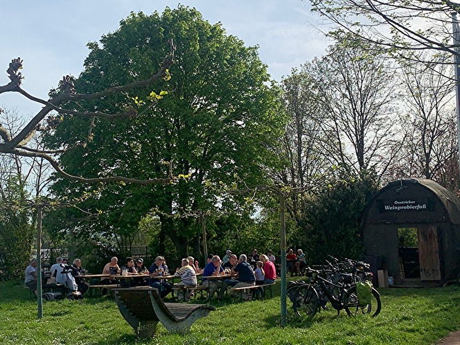 Weinprobierfass Oestrich