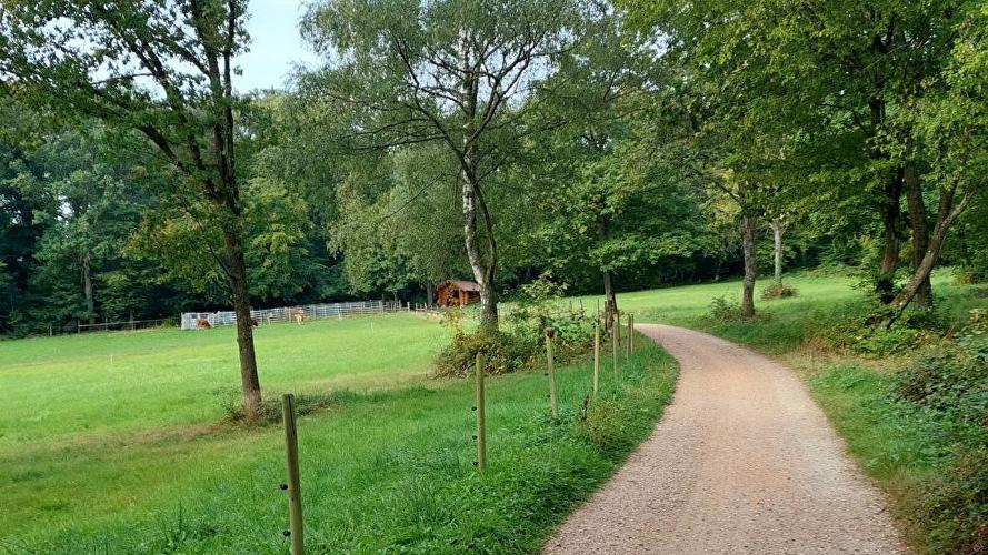 Weilburger Tal - Lindenblatt