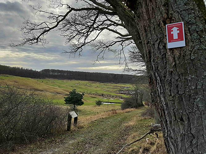 Limes-Rundweg Georgenthal