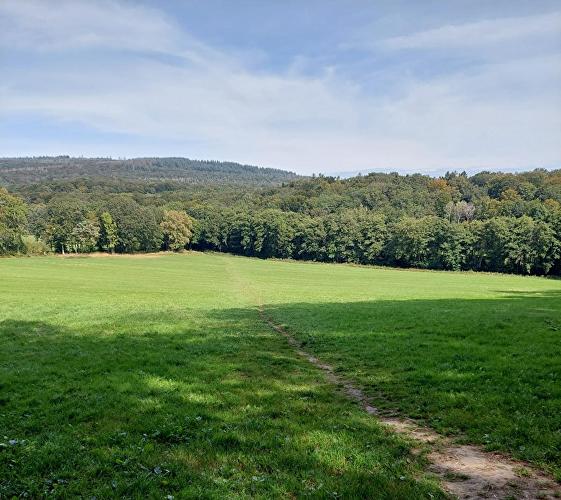 Weilburger Tal - Fuchs