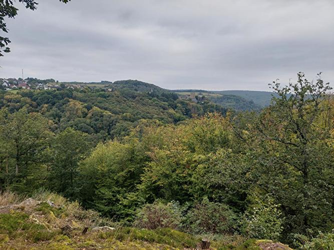 Altes Schloss - Forelle