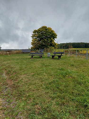 Berg-Bildstock - Eichenblatt