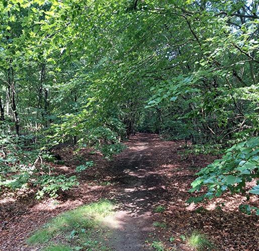 Eiserne Hand - Rehbock