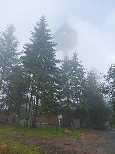 Hohe Wurzel - Keiler