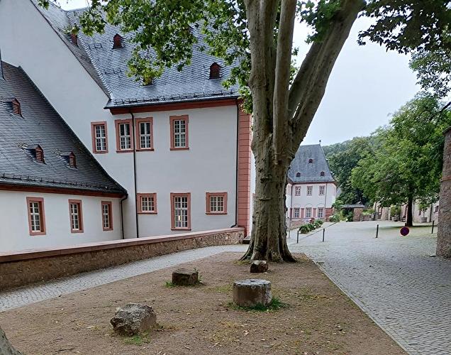 Kloster Eberbach - Hase
