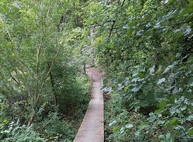 Kloster Eberbach - Libelle