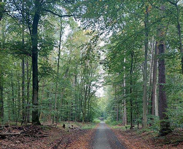 Köglerweg - Forelle