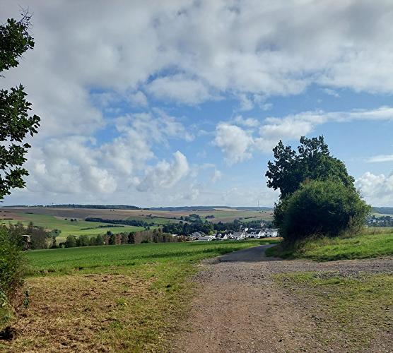 Kreuzweg - Eichhörnchen