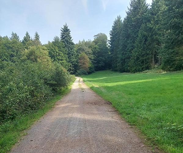 Sangweg - Ahornblatt