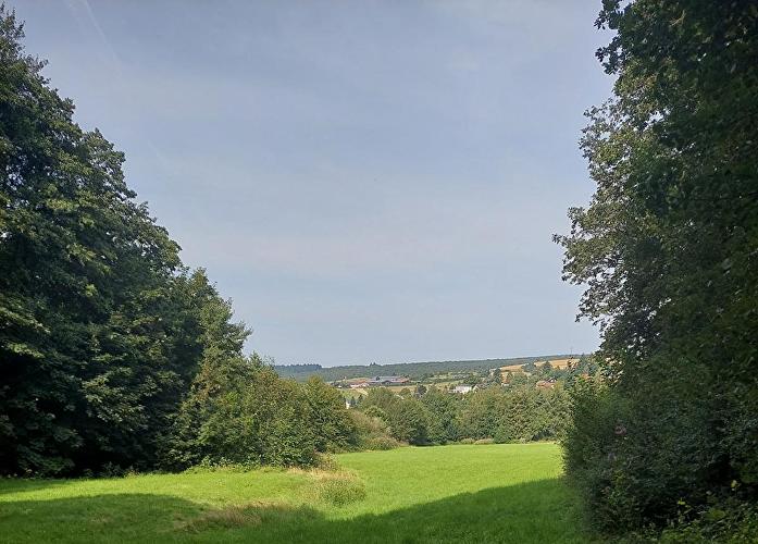 Sangweg - Eichenblatt