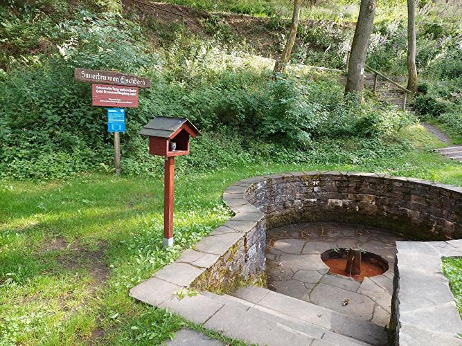 Fischbachtal Schmetterling