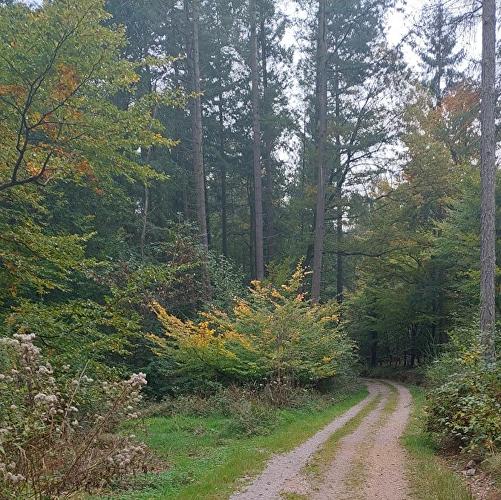 Antoniuskapelle - Rehbock