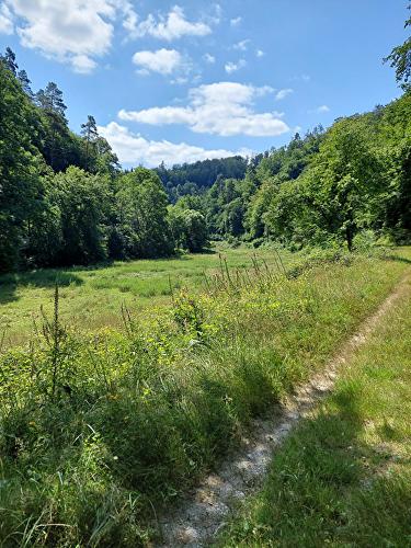 Kleine Wisper - Libelle