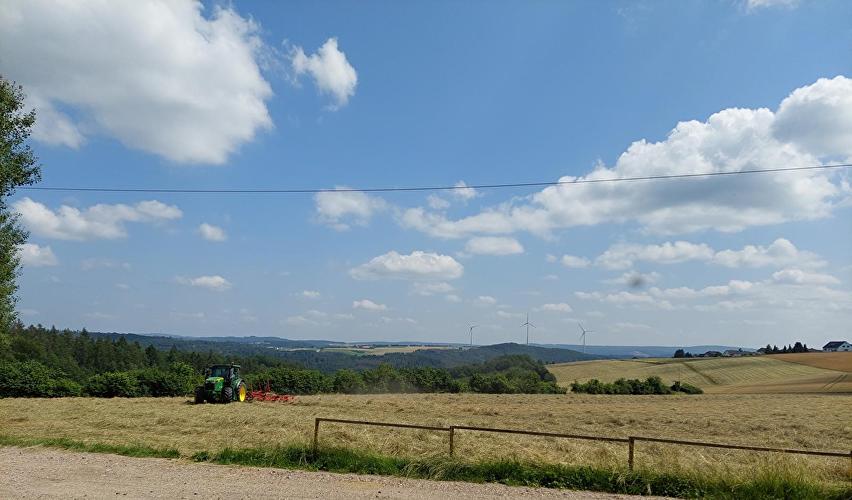 Naurother Heide - Schnepfe