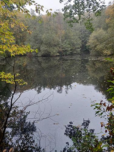 Brünnchen - Wasserlehrpfad "Offermanns Weiher"