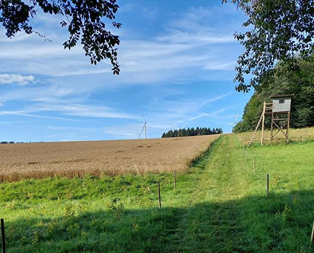 Holzhäuser Weg - Damschaufel