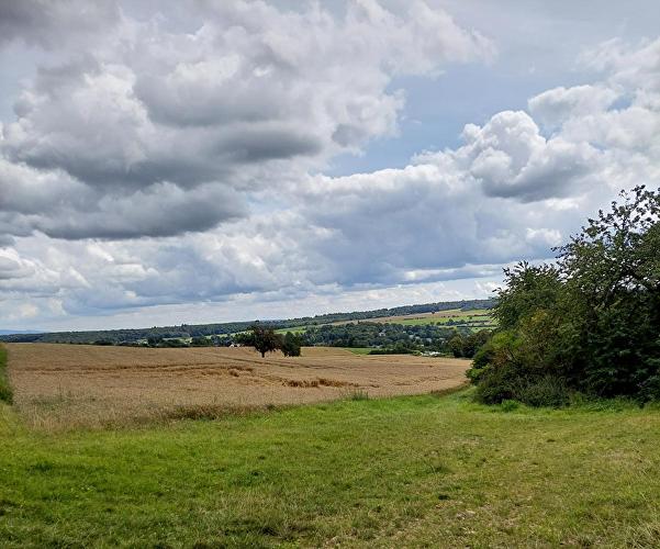 Holzhäuser Weg - Erlenblatt