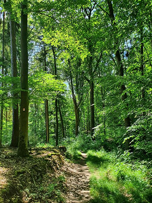 Wisper Trail Kurschatten
